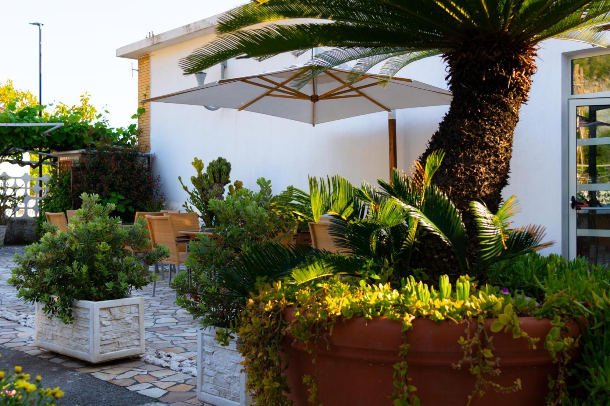 Hotel Garden Praia a Mare Zewnętrze zdjęcie